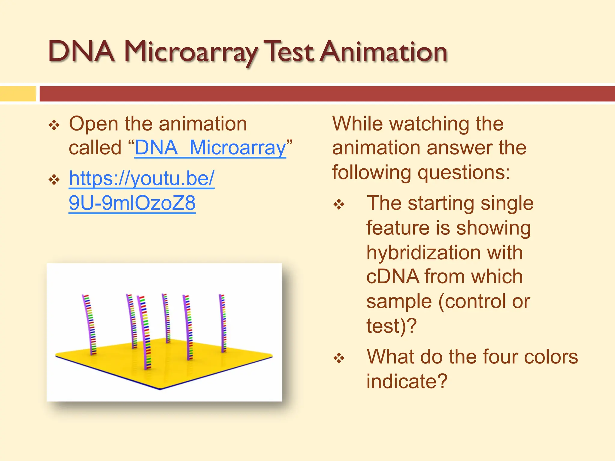DNA Microarray Test Animation
v Open the animation
called “DNA_Microarray”
v https://youtu.be/
9U-9mlOzoZ8
While watching the
animation answer the
following questions:
v The starting single
feature is showing
hybridization with
cDNA from which
sample (control or
test)?
v What do the four colors
indicate?
 