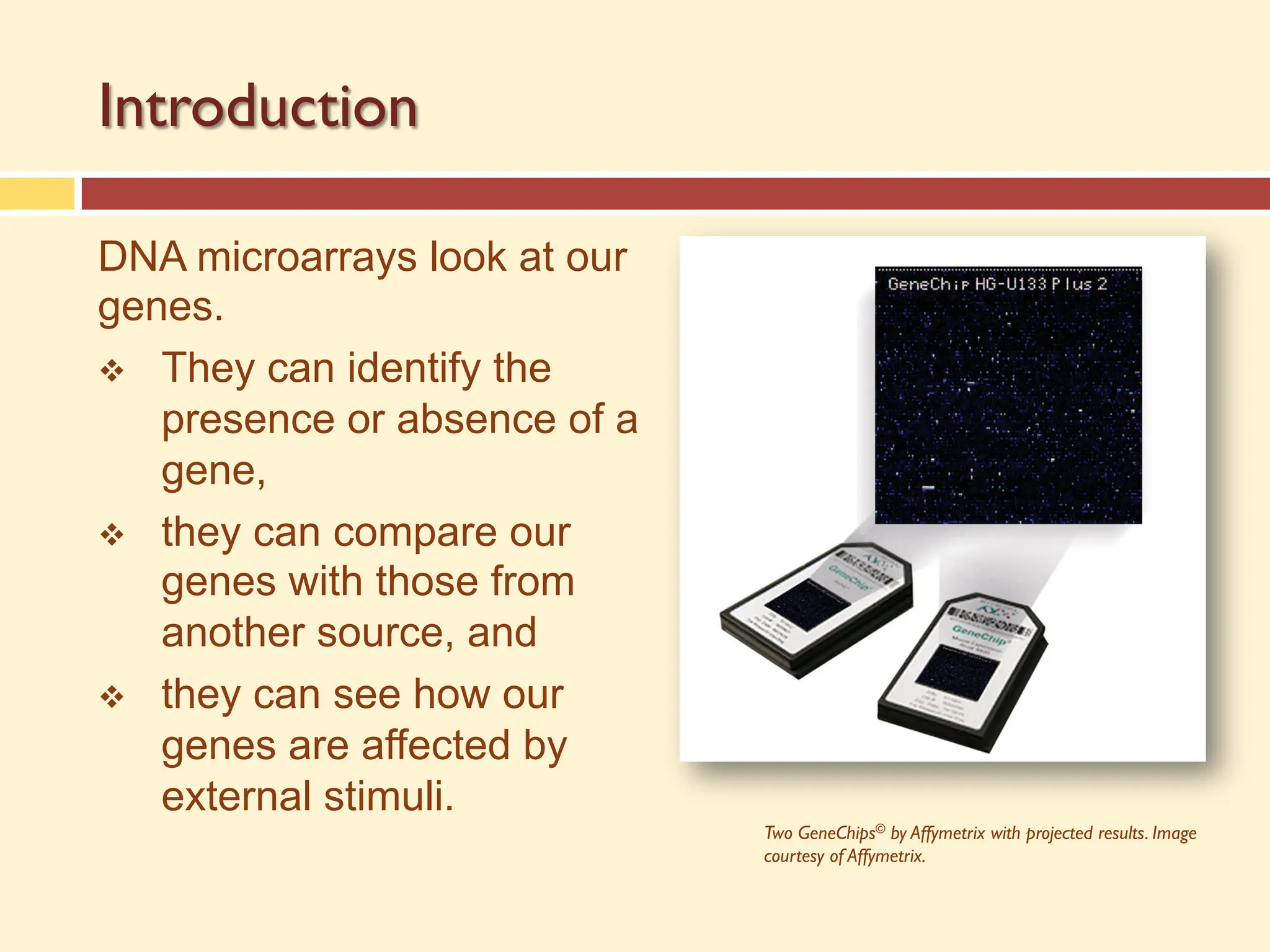 Introduction
DNA microarrays look at our
genes.
v They can identify the
presence or absence of a
gene,
v they can compare our
genes with those from
another source, and
v they can see how our
genes are affected by
external stimuli.
Two GeneChips© by Affymetrix with projected results. Image
courtesy of Affymetrix.
 