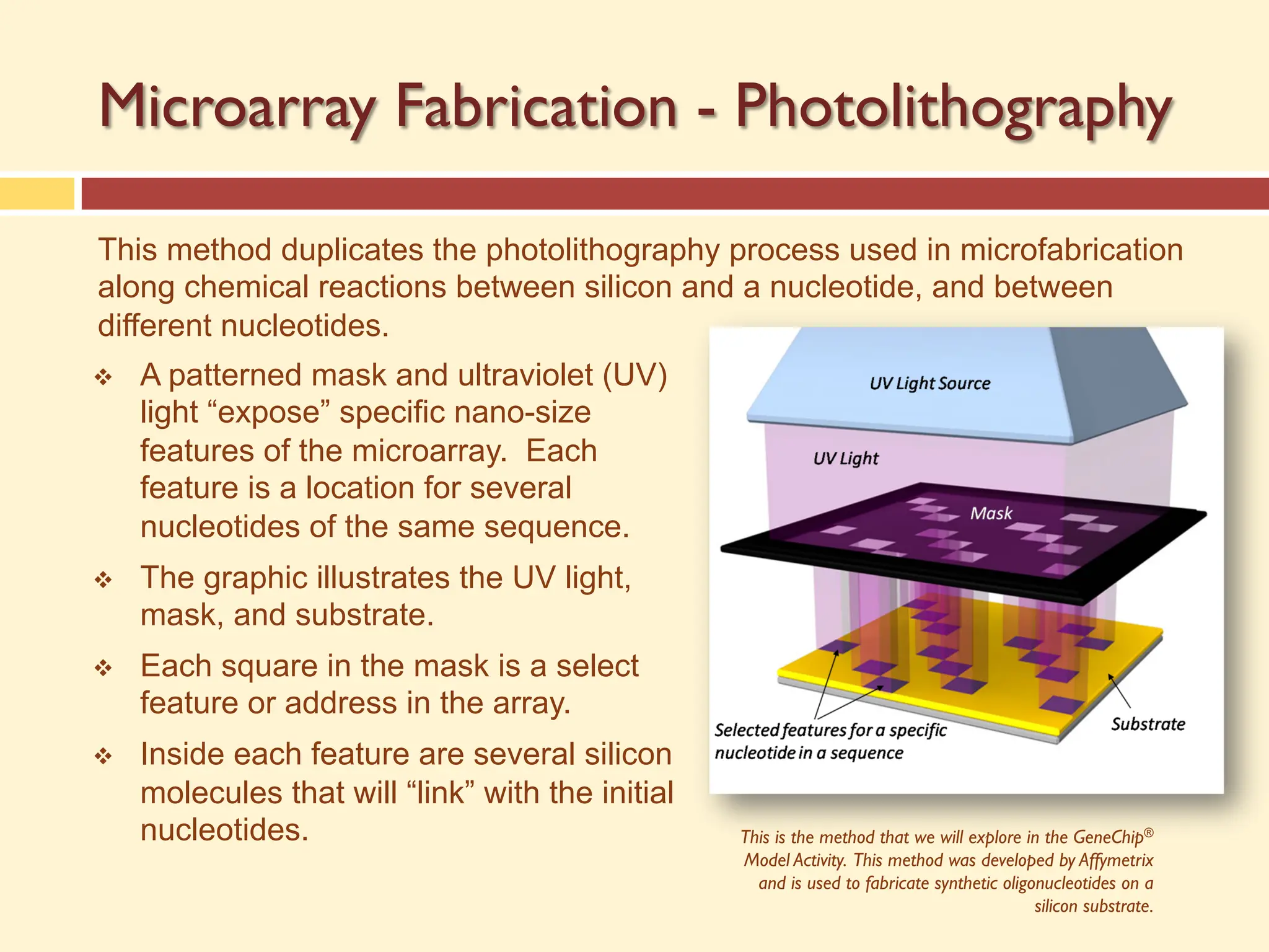Microarray Fabrication - Photolithography
This method duplicates the photolithography process used in microfabrication
along chemical reactions between silicon and a nucleotide, and between
different nucleotides.
v A patterned mask and ultraviolet (UV)
light “expose” specific nano-size
features of the microarray. Each
feature is a location for several
nucleotides of the same sequence.
v The graphic illustrates the UV light,
mask, and substrate.
v Each square in the mask is a select
feature or address in the array.
v Inside each feature are several silicon
molecules that will “link” with the initial
nucleotides. This is the method that we will explore in the GeneChip®
Model Activity. This method was developed by Affymetrix
and is used to fabricate synthetic oligonucleotides on a
silicon substrate.
 