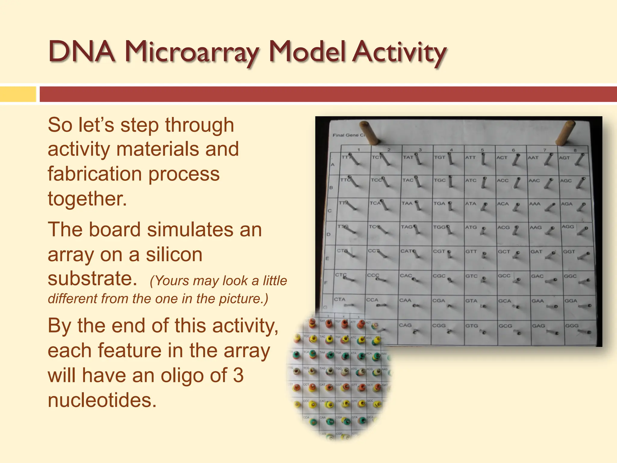 DNA Microarray Model Activity
So let’s step through
activity materials and
fabrication process
together.
The board simulates an
array on a silicon
substrate. (Yours may look a little
different from the one in the picture.)
By the end of this activity,
each feature in the array
will have an oligo of 3
nucleotides.
 