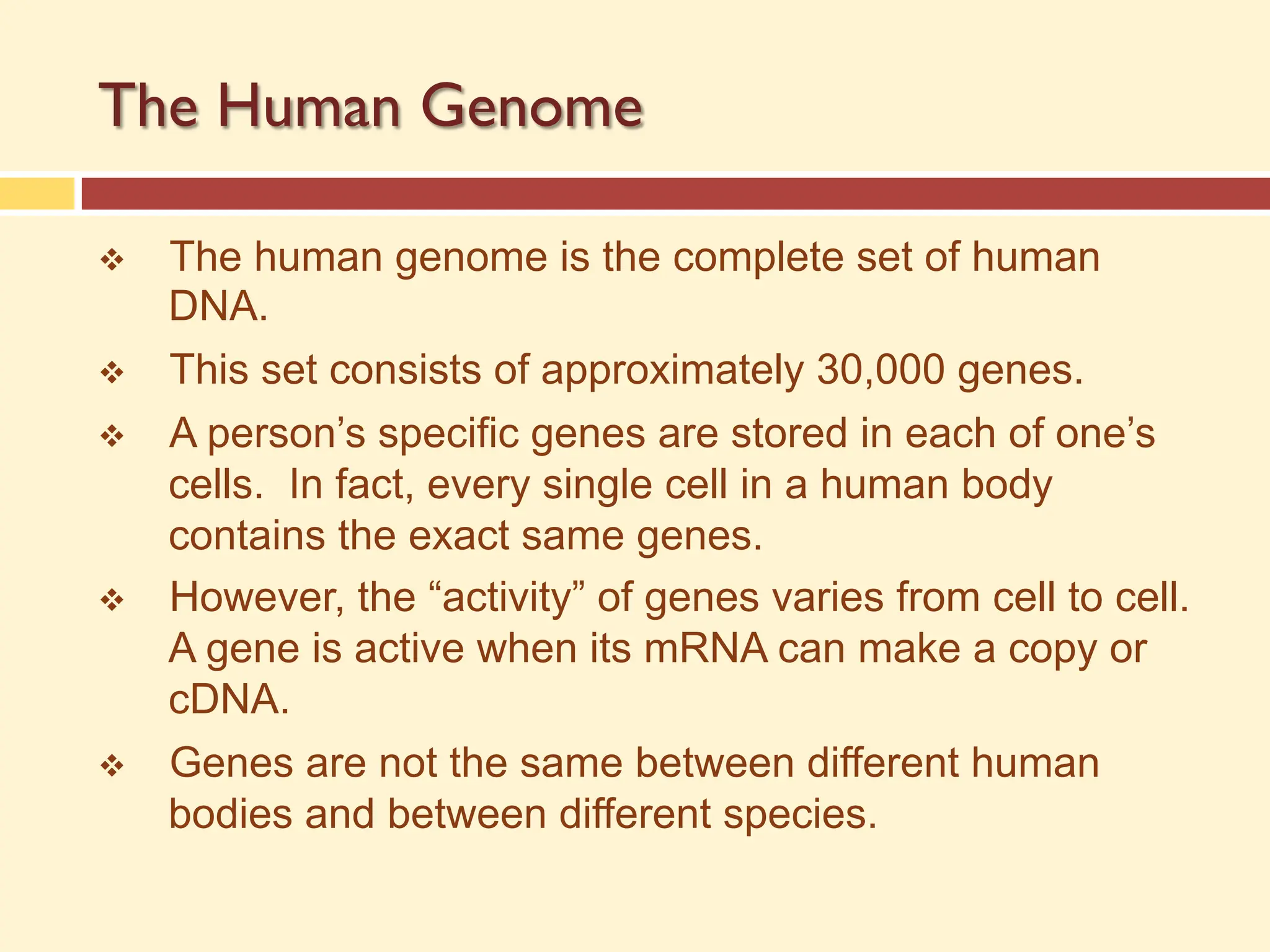 The Human Genome
v The human genome is the complete set of human
DNA.
v This set consists of approximately 30,000 genes.
v A person’s specific genes are stored in each of one’s
cells. In fact, every single cell in a human body
contains the exact same genes.
v However, the “activity” of genes varies from cell to cell.
A gene is active when its mRNA can make a copy or
cDNA.
v Genes are not the same between different human
bodies and between different species.
 