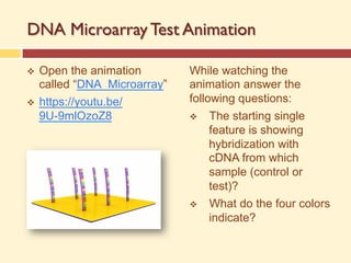 DNA Microarray Test Animation
v Open the animation
called “DNA_Microarray”
v https://youtu.be/
9U-9mlOzoZ8
While watching the
animation answer the
following questions:
v The starting single
feature is showing
hybridization with
cDNA from which
sample (control or
test)?
v What do the four colors
indicate?
 