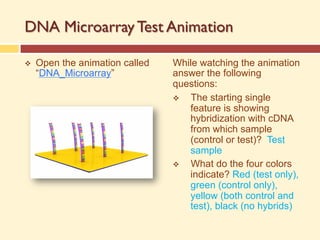 DNA Microarray Test Animation
v Open the animation called
“DNA_Microarray”
While watching the animation
answer the following
questions:
v The starting single
feature is showing
hybridization with cDNA
from which sample
(control or test)? Test
sample
v What do the four colors
indicate? Red (test only),
green (control only),
yellow (both control and
test), black (no hybrids)
 
