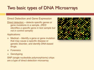 Two basic types of DNA Microarrays
Direct Detection and Gene Expression
Direct detection – detects specific genes or
gene mutations in a sample. (RED
identifies a specific gene in test sample but
not in control sample)
Applications:
v Medical – Identify a gene or gene mutation
that may cause a specific disease or
genetic disorder, and identify DNA-based
drugs.
v Forensics
v Genotyping
SNP (single nucleotide polymorphisms) chips
are a type of direct detection microarray
 