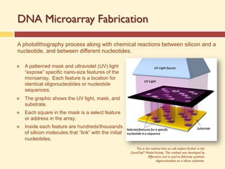 DNA Microarray Fabrication
A photolithography process along with chemical reactions between silicon and a
nucleotide, and between different nucleotides.
v A patterned mask and ultraviolet (UV) light
“expose” specific nano-size features of the
microarray. Each feature is a location for
identical oligonucleotides or nucleotide
sequences.
v The graphic shows the UV light, mask, and
substrate.
v Each square in the mask is a select feature
or address in the array.
v Inside each feature are hundreds/thousands
of silicon molecules that “link” with the initial
nucleotides.
This is the method that we will explore further in the
GeneChip® Model Activity. This method was developed by
Affymetrix and is used to fabricate synthetic
oligonucleotides on a silicon substrate.
 