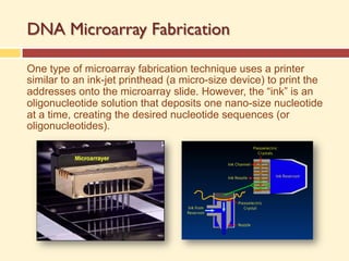 DNA Microarray Fabrication
One type of microarray fabrication technique uses a printer
similar to an ink-jet printhead (a micro-size device) to print the
addresses onto the microarray slide. However, the “ink” is an
oligonucleotide solution that deposits one nano-size nucleotide
at a time, creating the desired nucleotide sequences (or
oligonucleotides).
 