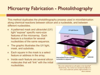 Microarray Fabrication - Photolithography
This method duplicates the photolithography process used in microfabrication
along chemical reactions between silicon and a nucleotide, and between
different nucleotides.
v A patterned mask and ultraviolet (UV)
light “expose” specific nano-size
features of the microarray. Each
feature is a location for several
nucleotides of the same sequence.
v The graphic illustrates the UV light,
mask, and substrate.
v Each square in the mask is a select
feature or address in the array.
v Inside each feature are several silicon
molecules that will “link” with the initial
nucleotides. This is the method that we will explore in the GeneChip®
Model Activity. This method was developed by Affymetrix
and is used to fabricate synthetic oligonucleotides on a
silicon substrate.
 