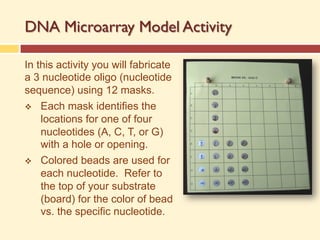 DNA Microarray Model Activity
In this activity you will fabricate
a 3 nucleotide oligo (nucleotide
sequence) using 12 masks.
v Each mask identifies the
locations for one of four
nucleotides (A, C, T, or G)
with a hole or opening.
v Colored beads are used for
each nucleotide. Refer to
the top of your substrate
(board) for the color of bead
vs. the specific nucleotide.
 