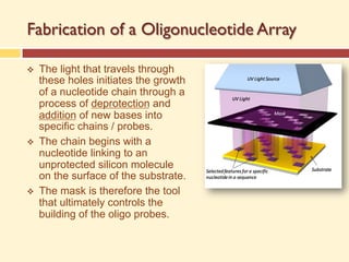 Fabrication of a Oligonucleotide Array
v The light that travels through
these holes initiates the growth
of a nucleotide chain through a
process of deprotection and
addition of new bases into
specific chains / probes.
v The chain begins with a
nucleotide linking to an
unprotected silicon molecule
on the surface of the substrate.
v The mask is therefore the tool
that ultimately controls the
building of the oligo probes.
 