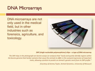 DNA Microarrays
DNA microarrays are not
only used in the medical
field, but in other
industries such as
forensics, agriculture, and
toxicology.
SNP (single nucleo/de polymorphisms) chips – a type of DNA microarray
The SNP chips in the photograph are bovine assays (or analysis) that “easily and quickly iden=fy regions within
the bovine genome that harbor variants that cause the animals to diﬀer in the outward expression of important
traits, allowing scien=sts to predict an animal’s gene=c merit from its SNP proﬁle.”
[Courtesy of Jeremy Taylor, Animal Genomics, University of Missouri]
 