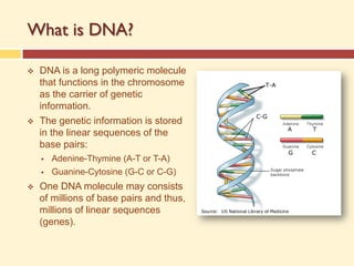 What is DNA?
v DNA is a long polymeric molecule
that functions in the chromosome
as the carrier of genetic
information.
v The genetic information is stored
in the linear sequences of the
base pairs:
§ Adenine-Thymine (A-T or T-A)
§ Guanine-Cytosine (G-C or C-G)
v One DNA molecule may consists
of millions of base pairs and thus,
millions of linear sequences
(genes).
 