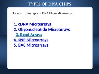 DNA microarrays.pptx for degree level students | PPTX