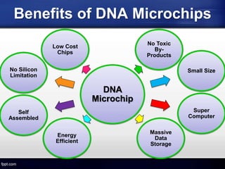 Benefits of DNA Microchips
DNA
Microchip
Low Cost
Chips
No Toxic
By-
Products
Small Size
Super
Computer
Massive
Data
Storage
Energy
Efficient
Self
Assembled
No Silicon
Limitation
 