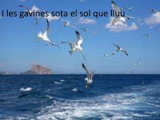 I les gavines sota el sol que lluu
 