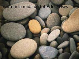 Tindrem la mida de totes les coses
 