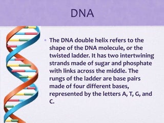 DNA Model | PPTX