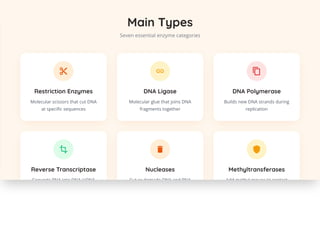 Essential DNA Modification Enzymes: Tools Powering Genetic Engineering ...