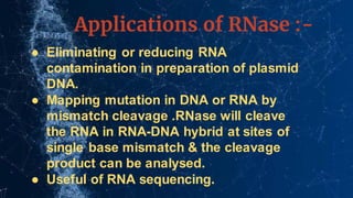 Applications of RNase :-
● Eliminating or reducing RNA
contamination in preparation of plasmid
DNA.
● Mapping mutation in DNA or RNA by
mismatch cleavage .RNase will cleave
the RNA in RNA-DNA hybrid at sites of
single base mismatch & the cleavage
product can be analysed.
● Useful of RNA sequencing.
 