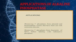 APPLICATIONS OF ALKALINE
PHOSPHATASE
 