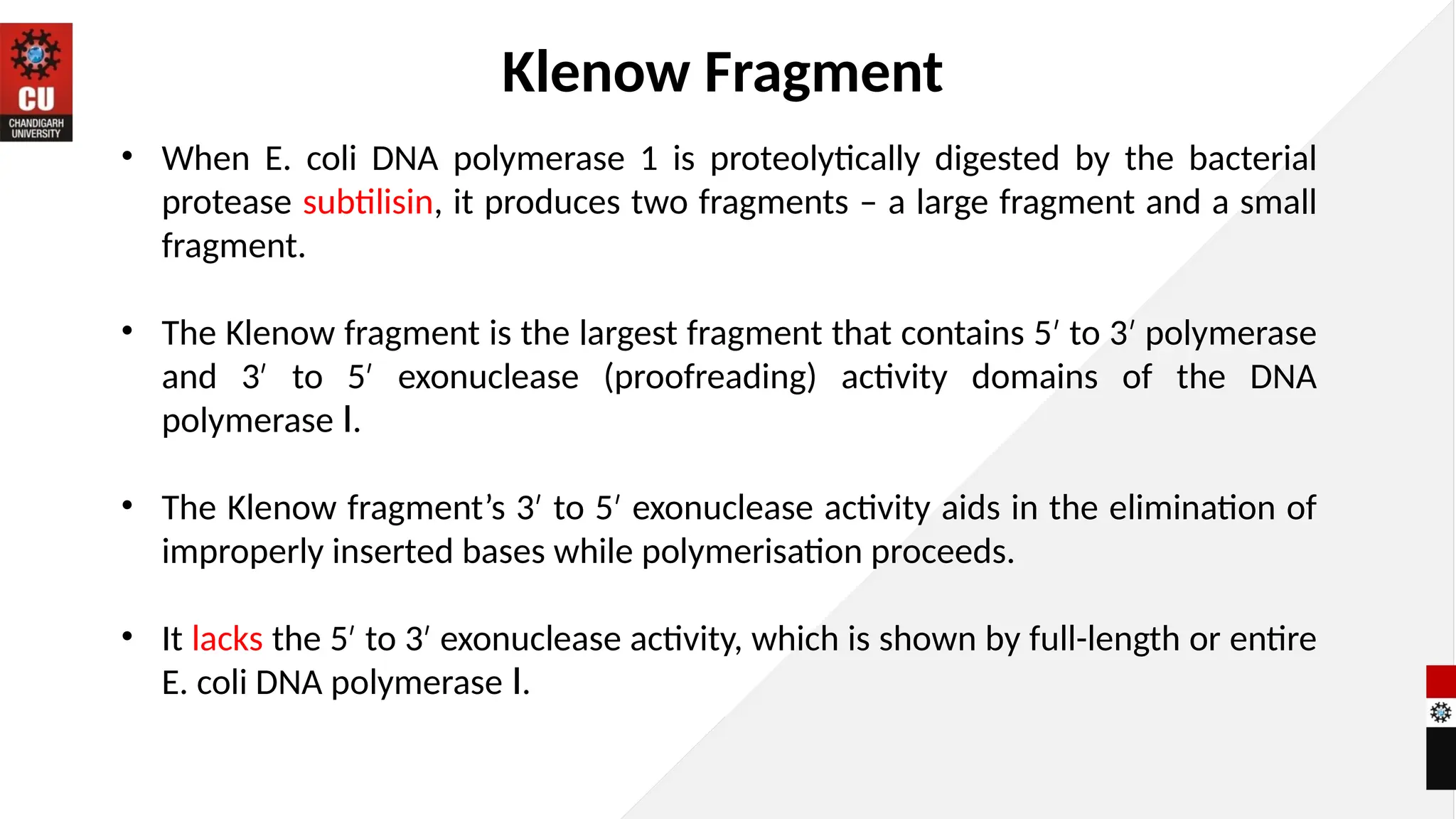 • When E. coli DNA polymerase 1 is proteolytically digested by the bacterial
protease subtilisin, it produces two fragments – a large fragment and a small
fragment.
• The Klenow fragment is the largest fragment that contains 5 to 3 polymerase
′ ′
and 3 to 5 exonuclease (proofreading) activity domains of the DNA
′ ′
polymerase .
Ⅰ
• The Klenow fragment’s 3 to 5 exonuclease activity aids in the elimination of
′ ′
improperly inserted bases while polymerisation proceeds.
• It lacks the 5 to 3 exonuclease activity, which is shown by full-length or entire
′ ′
E. coli DNA polymerase .
Ⅰ
Klenow Fragment
 