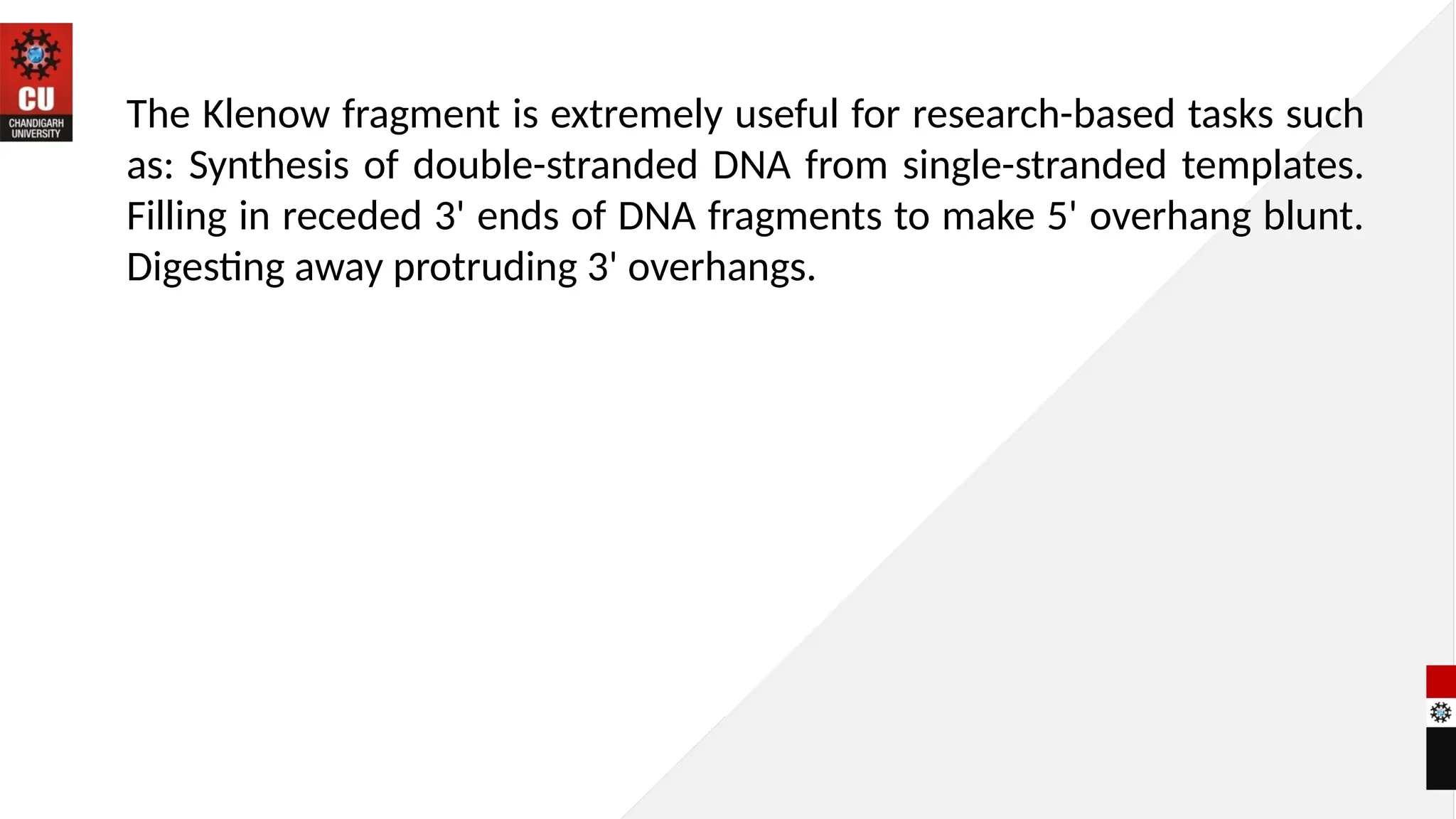 The Klenow fragment is extremely useful for research-based tasks such
as: Synthesis of double-stranded DNA from single-stranded templates.
Filling in receded 3' ends of DNA fragments to make 5' overhang blunt.
Digesting away protruding 3' overhangs.
 