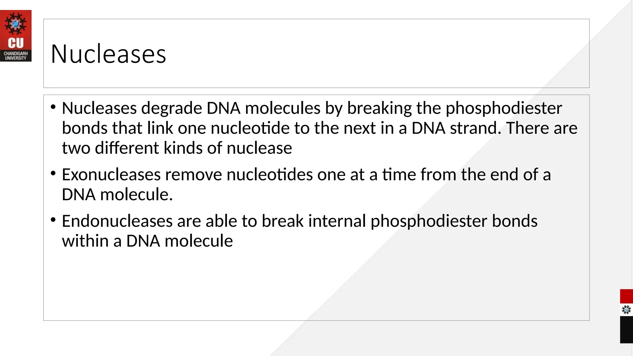 Nucleases
• Nucleases degrade DNA molecules by breaking the phosphodiester
bonds that link one nucleotide to the next in a DNA strand. There are
two different kinds of nuclease
• Exonucleases remove nucleotides one at a time from the end of a
DNA molecule.
• Endonucleases are able to break internal phosphodiester bonds
within a DNA molecule
 
