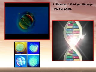 1 Hcreden 100 trilyon Hcreye
UZMANLA?MA
 