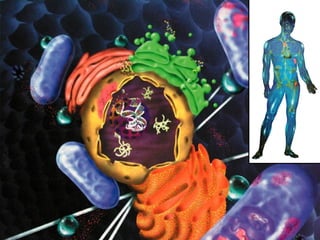 Dna Mucizesi
