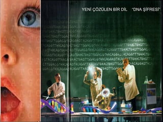 YEN? ??Z?LEN B?R D?L   DNA ??FRES?
 