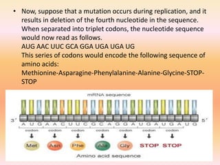 Dna Mutation