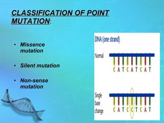 Same Sense Mutation Example Dna Mutations | PPT