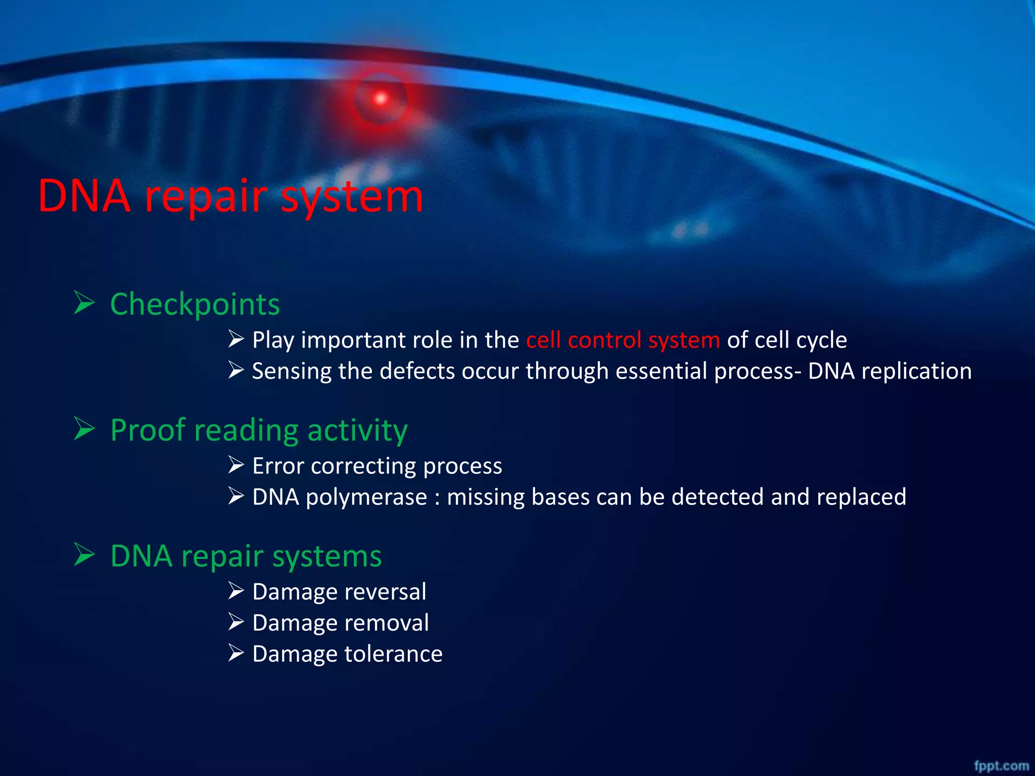 DNA repair system
 Checkpoints
 Play important role in the cell control system of cell cycle
 Sensing the defects occur through essential process- DNA replication
 Proof reading activity
 Error correcting process
 DNA polymerase : missing bases can be detected and replaced
 DNA repair systems
 Damage reversal
 Damage removal
 Damage tolerance
 