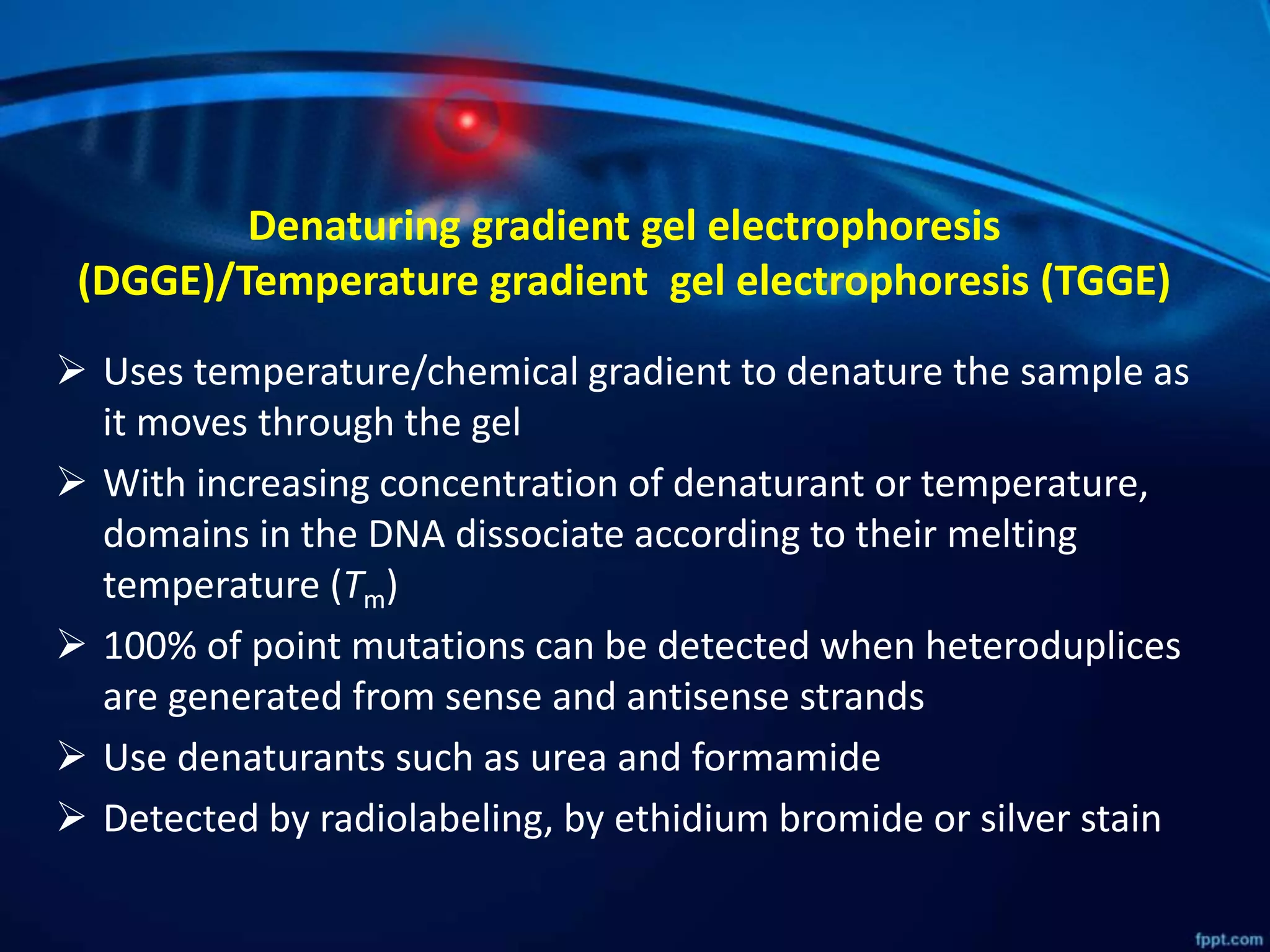  Uses temperature/chemical gradient to denature the sample as
it moves through the gel
 With increasing concentration of denaturant or temperature,
domains in the DNA dissociate according to their melting
temperature (Tm)
 100% of point mutations can be detected when heteroduplices
are generated from sense and antisense strands
 Use denaturants such as urea and formamide
 Detected by radiolabeling, by ethidium bromide or silver stain
Denaturing gradient gel electrophoresis
(DGGE)/Temperature gradient gel electrophoresis (TGGE)
 