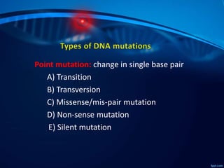 Dna mutation | PPTX