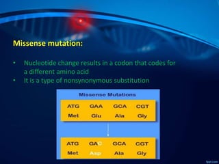 Dna mutation | PPTX