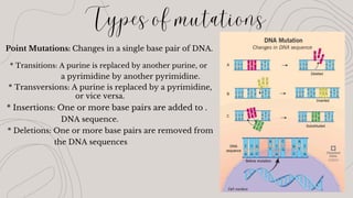 DNA Mutations and it's types and mutagens | PDF