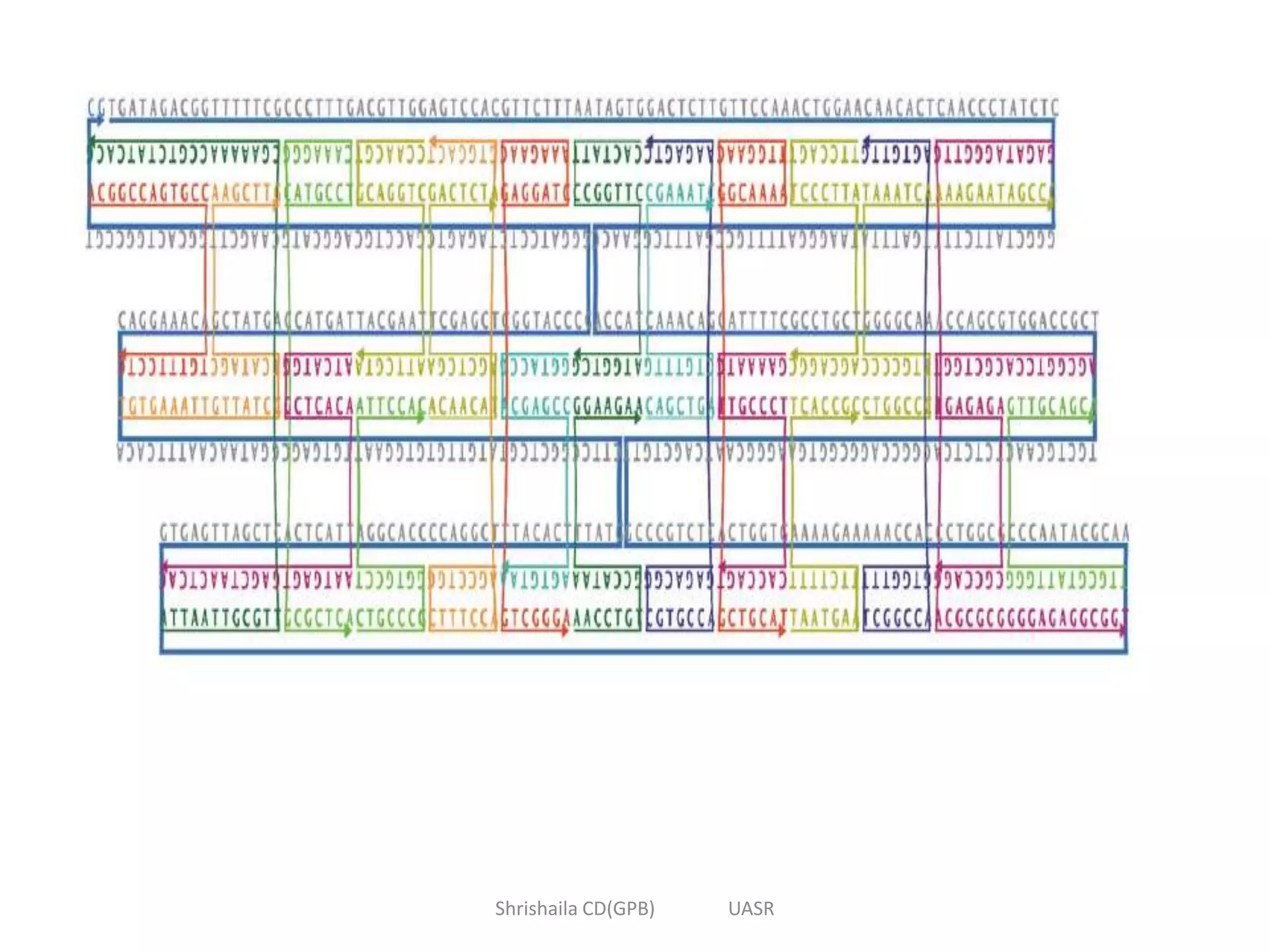Shrishaila CD(GPB) UASR
 
