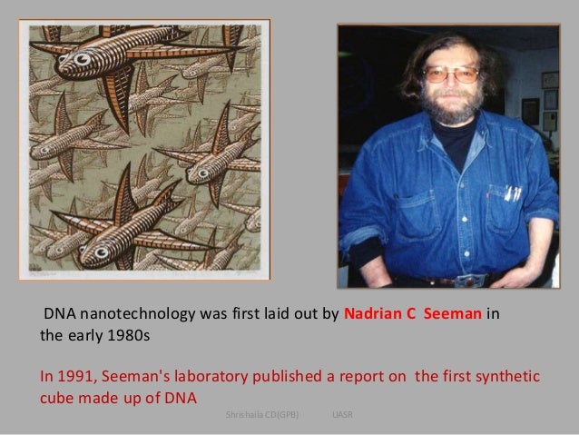 dna nanotechnology