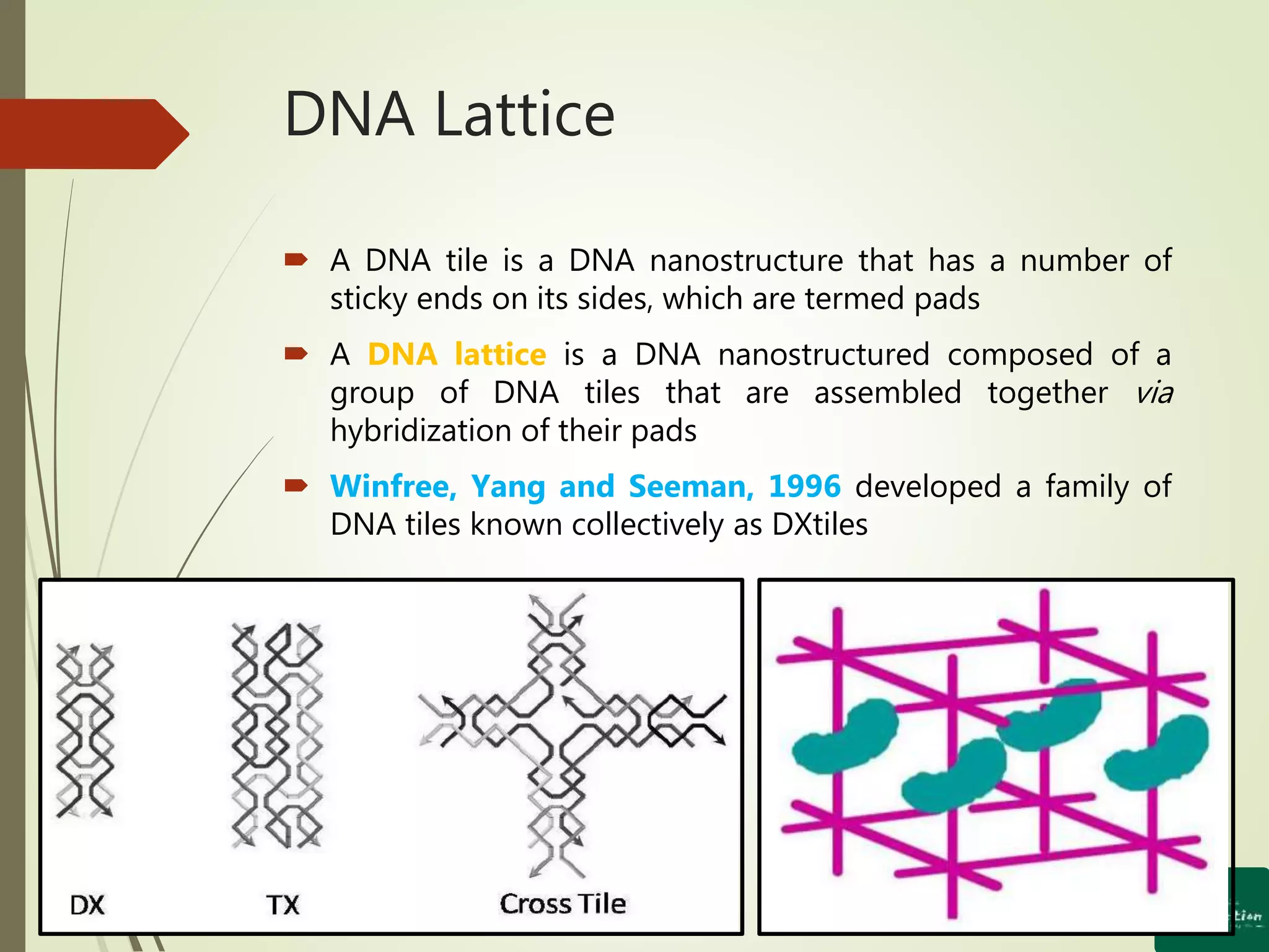 Seeman Dna DNA Nanotechnology: Concept and its Applications | PPTX