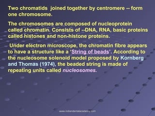 Two chromatids joined together by centromere -- form
one chromosome.
The chromosomes are composed of nucleoprotein
called chromatin. Consists of --DNA, RNA, basic proteins
called histones and non-histone proteins.
Under electron microscope, the chromatin fibre appears
to have a structure like a ‘String of beads’. According to
the nucleosome solenoid model proposed by Kornberg
and Thomas (1974), the beaded string is made of
repeating units called nucleosomes.
www.indiandentalacademy.comwww.indiandentalacademy.com
 