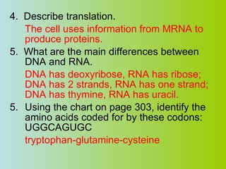4.  Describe translation. The cell uses information from MRNA to produce proteins. 5.  What are the main differences between DNA and RNA. DNA has deoxyribose, RNA has ribose; DNA has 2 strands, RNA has one strand; DNA has thymine, RNA has uracil. Using the chart on page 303, identify the amino acids coded for by these codons: UGGCAGUGC tryptophan-glutamine-cysteine 