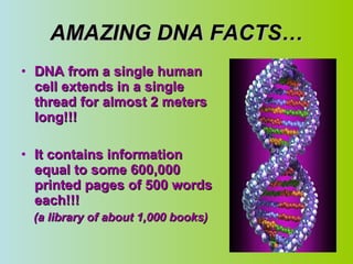 AMAZING DNA FACTS… DNA from a single human cell extends in a single thread for almost 2 meters long!!! It contains information equal to some 600,000 printed pages of 500 words each!!!  (a library of about 1,000 books) 