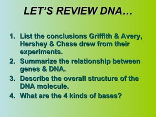 LET’S REVIEW DNA… List the conclusions Griffith & Avery, Hershey & Chase drew from their experiments. Summarize the relationship between genes & DNA. Describe the overall structure of the DNA molecule. What are the 4 kinds of bases? 