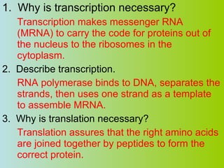 1.  Why is transcription necessary? Transcription makes messenger RNA (MRNA) to carry the code for proteins out of the nucleus to the ribosomes in the cytoplasm.  2.  Describe transcription. RNA polymerase binds to DNA, separates the strands, then uses one strand as a template to assemble MRNA. 3.  Why is translation necessary? Translation assures that the right amino acids are joined together by peptides to form the correct protein. 