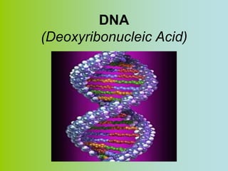DNA
(Deoxyribonucleic Acid)
 