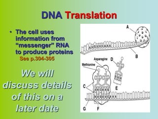 DNA Translation
 • The cell uses
   information from
   “messenger” RNA
   to produce proteins
    See p.304-305


    We will
discuss details
  of this on a
   later date
 