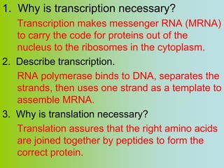 1. Why is transcription necessary?
   Transcription makes messenger RNA (MRNA)
   to carry the code for proteins out of the
   nucleus to the ribosomes in the cytoplasm.
2. Describe transcription.
   RNA polymerase binds to DNA, separates the
   strands, then uses one strand as a template to
   assemble MRNA.
3. Why is translation necessary?
   Translation assures that the right amino acids
   are joined together by peptides to form the
   correct protein.
 