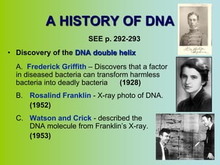 A HISTORY OF DNA
                        SEE p. 292-293
• Discovery of the DNA double helix
  A. Frederick Griffith – Discovers that a factor
  in diseased bacteria can transform harmless
  bacteria into deadly bacteria   (1928)
  B. Rosalind Franklin - X-ray photo of DNA.
     (1952)
  C. Watson and Crick - described the
     DNA molecule from Franklin’s X-ray.
     (1953)
 