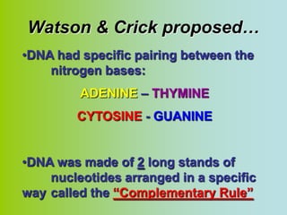 Watson & Crick proposed…
•DNA had specific pairing between the
    nitrogen bases:
         ADENINE – THYMINE
        CYTOSINE - GUANINE


•DNA was made of 2 long stands of
    nucleotides arranged in a specific
way called the “Complementary Rule”
 