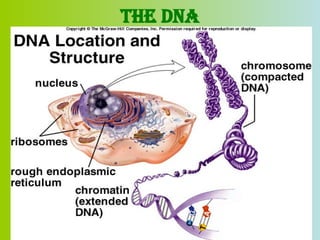 Grade 10 quarter 3 lesson 1 DNA Notes.ppt